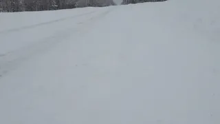 Крик о помощи! Дорога Микунь – Вожский: испытание на прочность для автомобилей и нервов