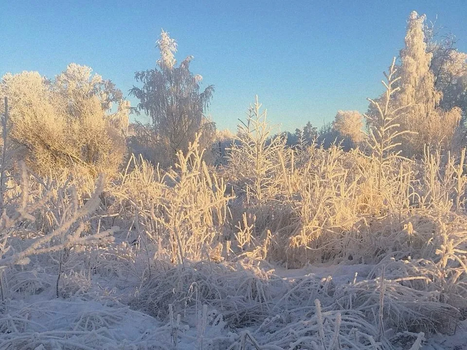 Не успели мы заскучать по зимним холодам, как они уже возвращаются