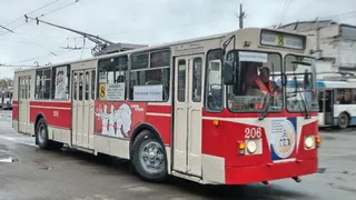 На этой неделе владимирцы смогут бесплатно прокатиться на троллейбусе