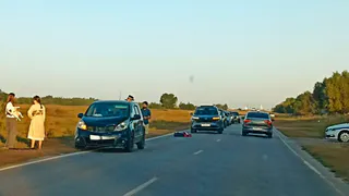 В Рязанском районе водитель легковушки сбил корову