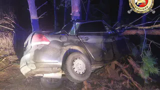 В Чувашии парень влетел в дерево и погиб