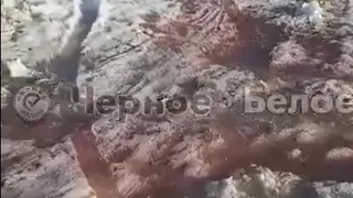 Под Магнитогорском в одном из поселков фермер на улице устроил место для убоя скота