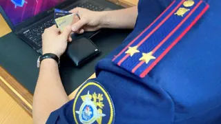 В Брянске мошенники украли из бюджета 6 миллионов, пообещав вырастить яблоневый сад