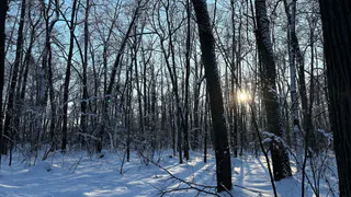 На следующей неделе в Рязани потеплеет до +4