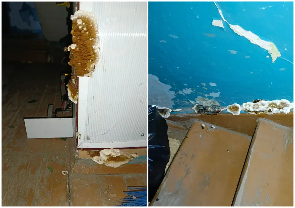 Бастрыкин взял на контроль дело о нерасселении аварийного дома в Копейске