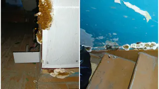 Бастрыкин взял на контроль дело о нерасселении аварийного дома в Копейске