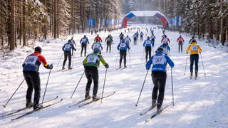 Во Владимире в феврале пройдёт всероссийская гонка «Лыжня России»