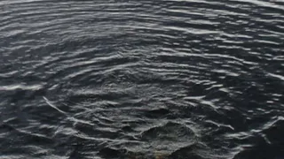 В Брянском районе утонули две 13-летние девочки