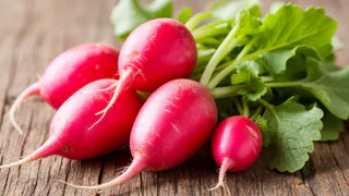 Выращиваю редис в бумажных яичных лотках и получаю ранний урожай: Подсмотрела у соседки и ем круглый год