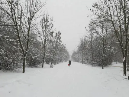 «В августе наступит аномалия, которой еще не было». Синоптики неожиданно изменили прогноз