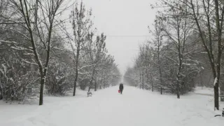 «В августе наступит аномалия, которой еще не было». Синоптики неожиданно изменили прогноз