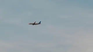 Кибератака нарушила работу IT‑систем «Аэрофлота» и сорвала рейсы по России