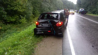 В Рязанской области девушка на "Пежо" съехала в кювет и врезалась в дерево