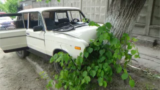 В Рязани 16-летний парень на «шестерке» въехал в дерево