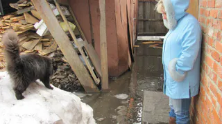 Погода в Рязани опять бьет рекорды