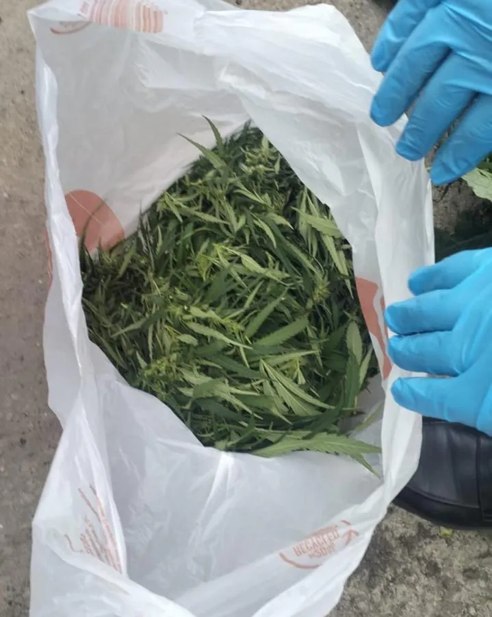 Пойман с поличным: казанец выкинул пакет марихуаны при виде патруля