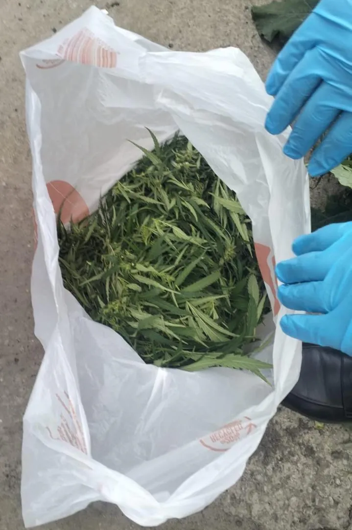 Пойман с поличным: казанец выкинул пакет марихуаны при виде патруля