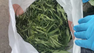 Пойман с поличным: казанец выкинул пакет марихуаны при виде патруля