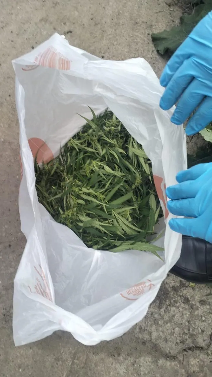 Пойман с поличным: казанец выкинул пакет марихуаны при виде патруля