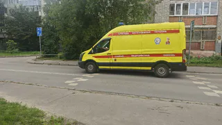 В Рязанской области осужден водитель без прав, погубивший семилетнего ребенка