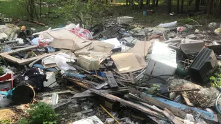 Природоохранная прокуратура обнаружила свалку в Судогодском районе