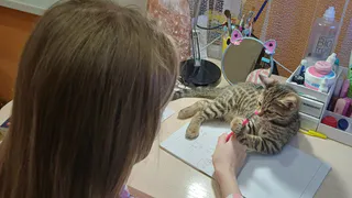 Ирина Волынец рассказал, как оградить несовершеннолетних от социальных сетей