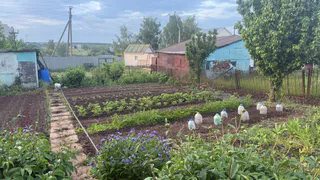 Наконец нашла идеальное решение, чем закрыть дорожки между грядок в огороде - бюджетный способ, и сорняки больше не надоедают