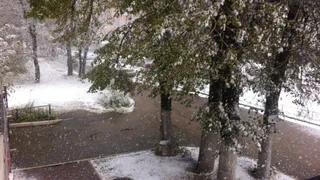 Рязанцы выкладывают в социальной сети фотографии снегопада