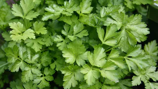 Сажаю 3 культуры в ноябре – получаю урожай в мае: соседи только начинают посадки, а мы уже кушаем салаты