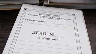 Суд признал виновным экс-директора компании из Коми в уклонении от налогов на 106 миллионов