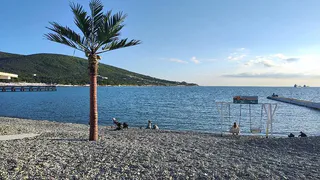 Грязно, дорого, мерзко: Как я слетал в Тунис и что мне категорически не понравилось