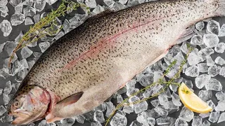 Вчера - в море, сегодня - на вашем столе: где в Рязани купить свежую рыбу?