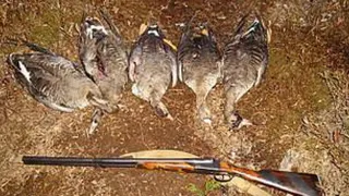 Во Владимирской области задержали браконьера