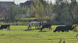 Грядет самое аномальное лето за весь 21 век: метеорологи выставили прогноз - вот к чему готовиться россиянам