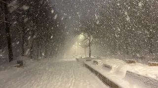 «Начнется 20 марта и будет длиться 20 дней подряд»: синоптики сделали неожиданный прогноз