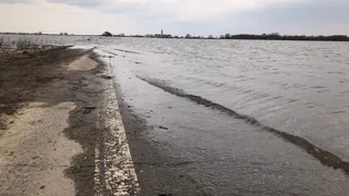 В Рязанской области за последние сутки уровень воды в Оке повысился на 7 сантиметров
