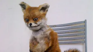 Тест: Рязань или Омск? Отличите рязанскую безумную новость от омской