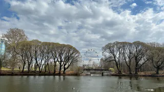Погода в Нижнекамске в понедельник, 15 сентября