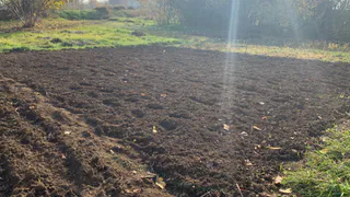 Плодородный слой почвы уничтожен в Рязанской области