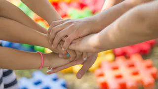 Рязанским многодетным семьям предоставят 811 участков около Варских