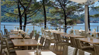 «Больше туда не вернусь». 5 курортов на юге России, где отдых превращается в дорогую пытку