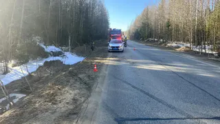 В Коми пьяный водитель вылетел в кювет и лишился ВАЗ