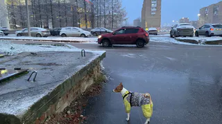 Аномальная зима породит невыносимое лето: синоптики объяснили, к чему нужно готовиться в 2025 году