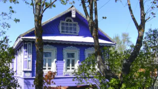 Не только ипомея трехцветная: не выращивайте эти растения на своей даче