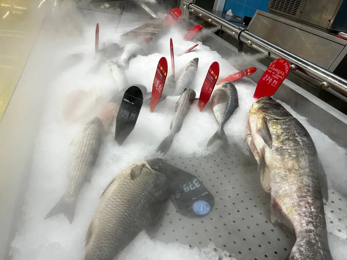 В 2 раза дешевле и полезнее красной икры: в Роскачестве определили самую лучшую рыбу