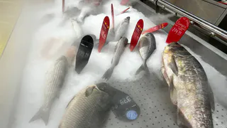 В 2 раза дешевле и полезнее красной икры: в Роскачестве определили самую лучшую рыбу