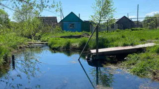 Переехали жить в деревню и только через год поняли, почему многие больше не живут там хозяйством