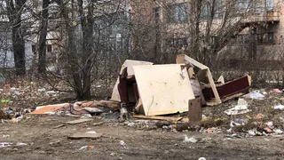 На Московском для уличных щенков соорудили убежище