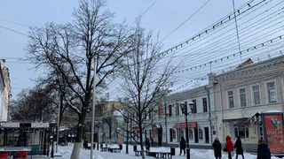 Зампреда Рязанской облдумы Александра Шевырева представят к госнаграде