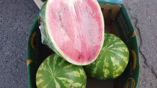 С начала августа на Южный Урал не пустили 80 тонн арбузов и дынь